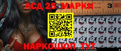 крисы Пенза