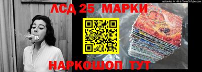 крисы Пенза