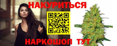 крисы Пенза