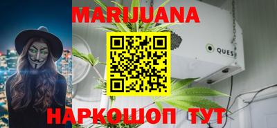 крисы Пенза