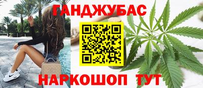 крисы Пенза