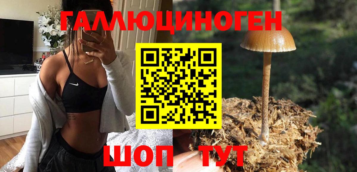 Псилоцибиновые грибы MAGIC MUSHROOMS  Вход с VPN  Нягань 